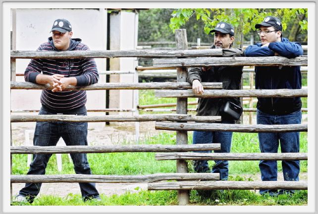 natura_e_cavallo051