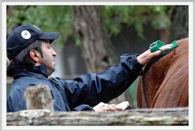 natura_e_cavallo003
