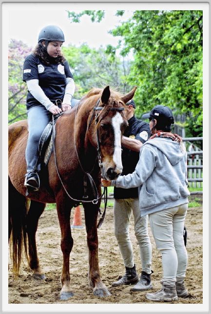 natura_e_cavallo054