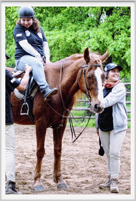 natura_e_cavallo055