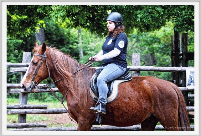 natura_e_cavallo056