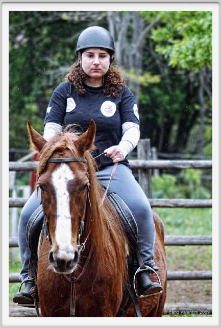 natura_e_cavallo057