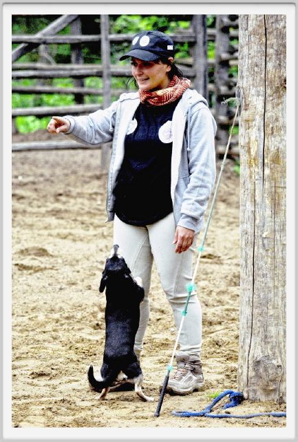 natura_e_cavallo058