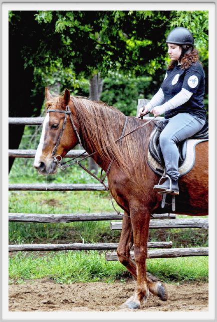 natura_e_cavallo059