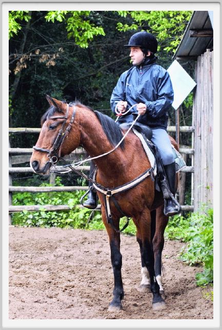 natura_e_cavallo063