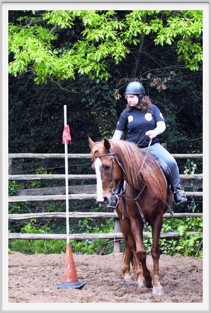 natura_e_cavallo065
