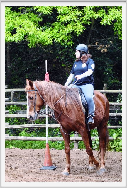 natura_e_cavallo066