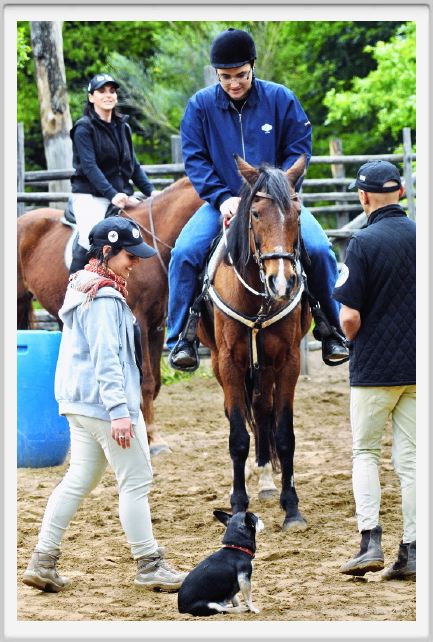 natura_e_cavallo075