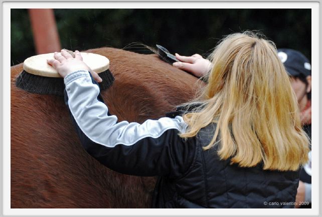 natura_e_cavallo005