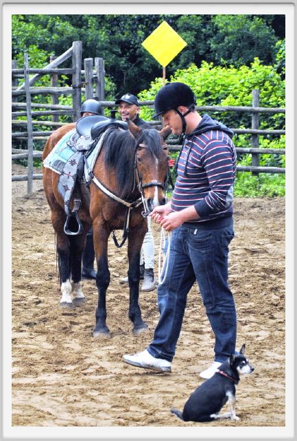 natura_e_cavallo076