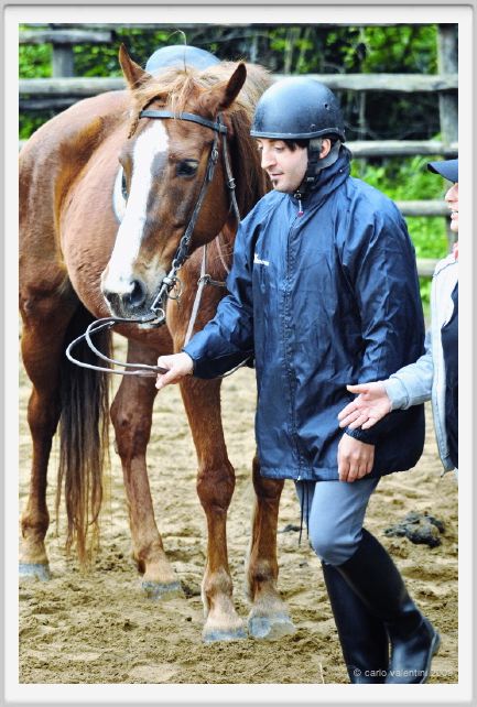 natura_e_cavallo077