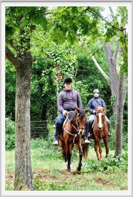 natura_e_cavallo079