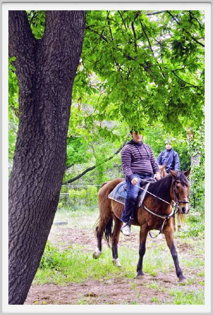 natura_e_cavallo080