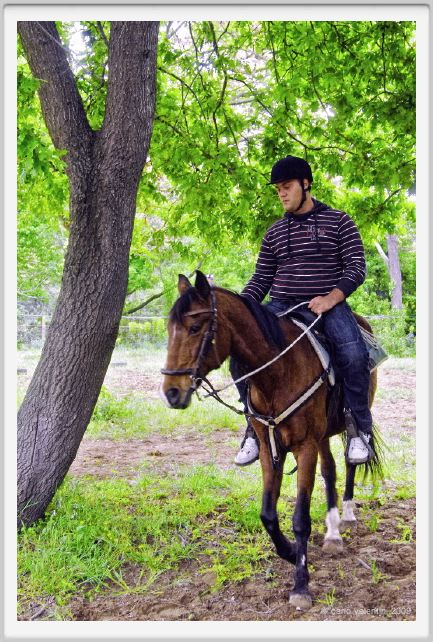 natura_e_cavallo081