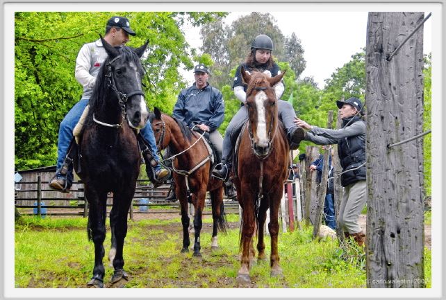 natura_e_cavallo083