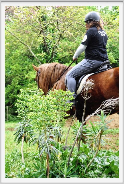 natura_e_cavallo084