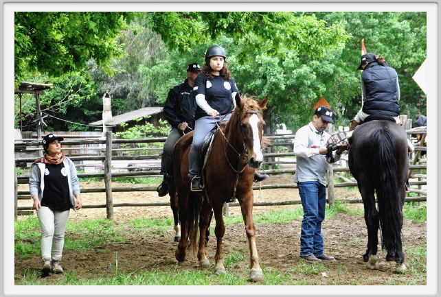 natura_e_cavallo085