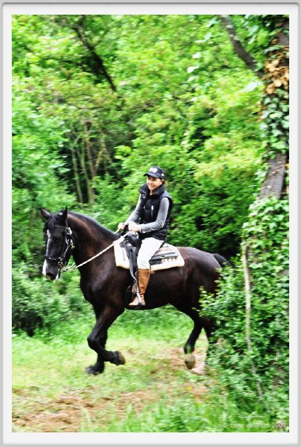 natura_e_cavallo086