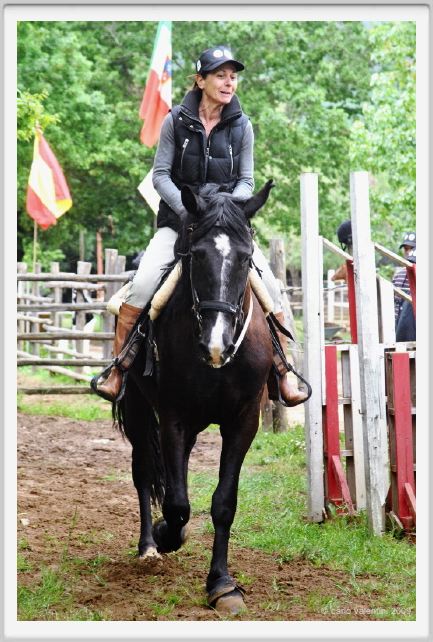 natura_e_cavallo087