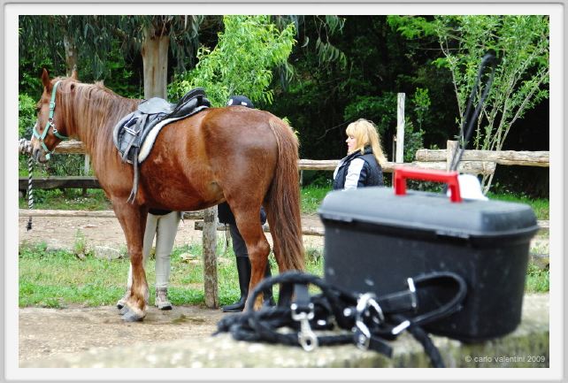natura_e_cavallo009