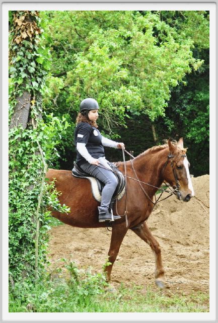 natura_e_cavallo088
