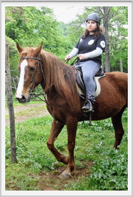 natura_e_cavallo091