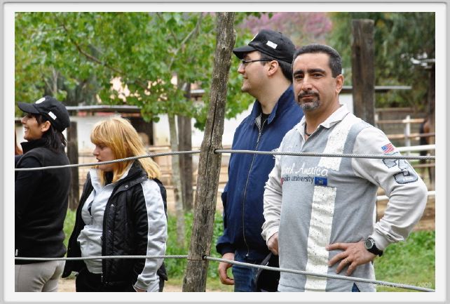 natura_e_cavallo092