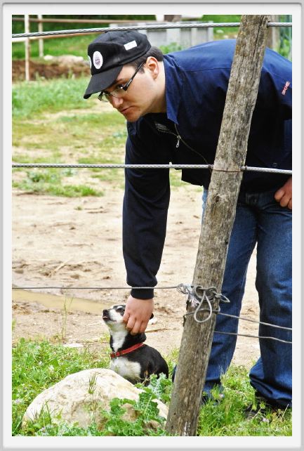natura_e_cavallo093