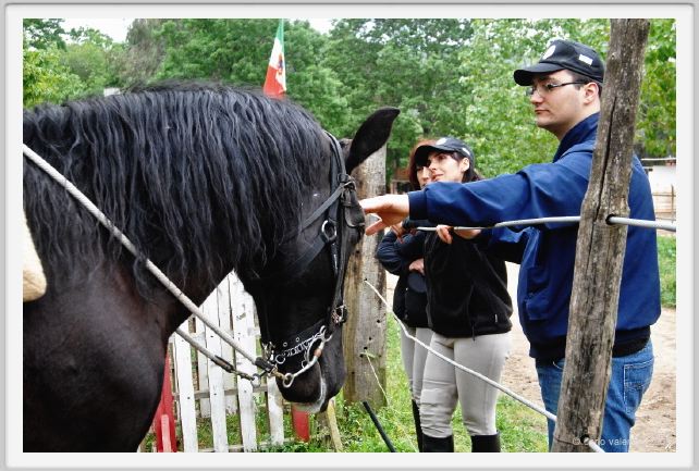 natura_e_cavallo094