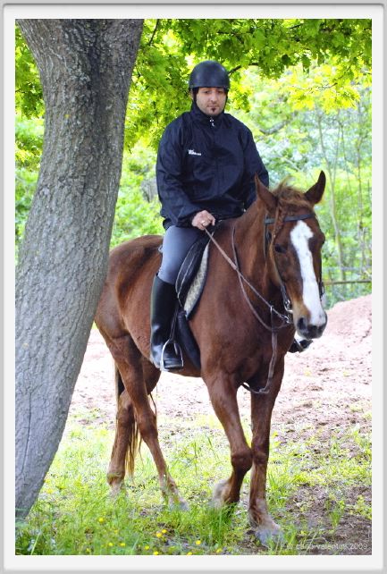 natura_e_cavallo095