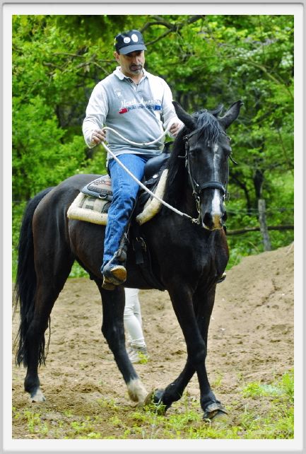 natura_e_cavallo098