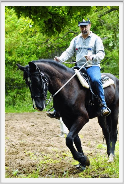 natura_e_cavallo099