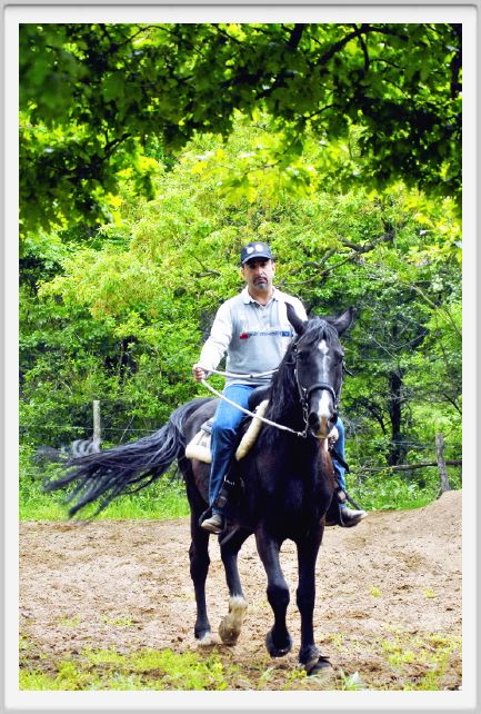 natura_e_cavallo102