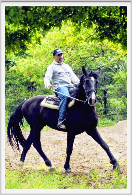 natura_e_cavallo104