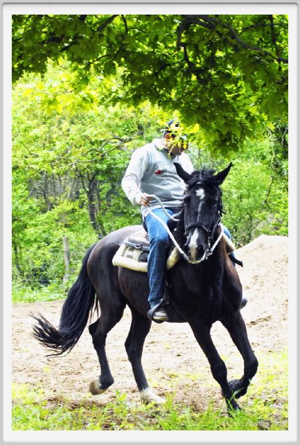 natura_e_cavallo105