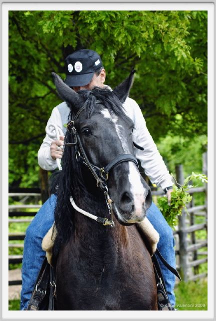 natura_e_cavallo107