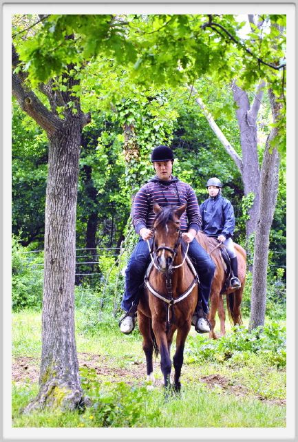 natura_e_cavallo109