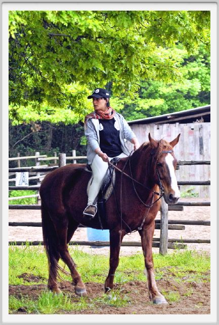 natura_e_cavallo111