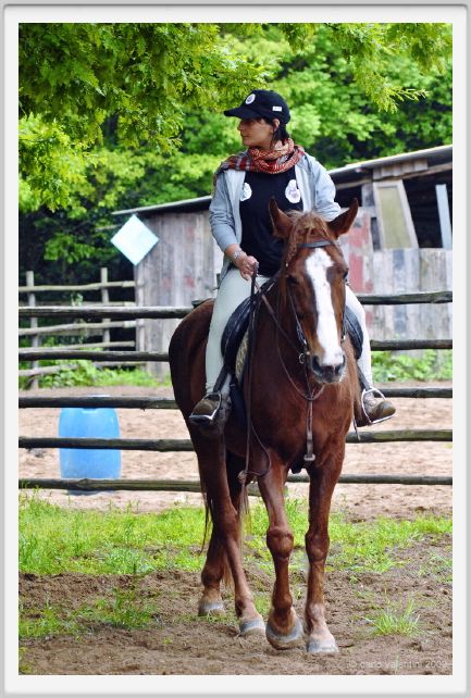 natura_e_cavallo112