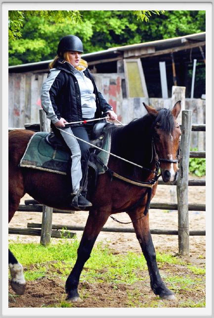 natura_e_cavallo120