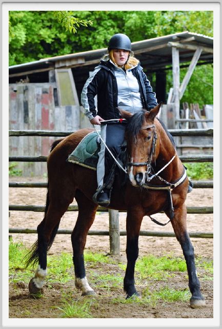 natura_e_cavallo122