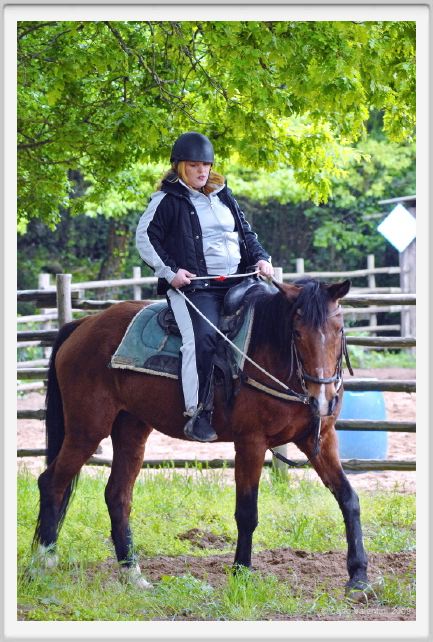 natura_e_cavallo124