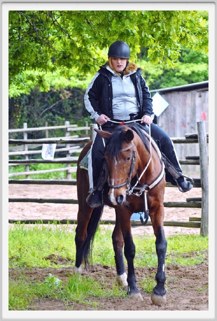 natura_e_cavallo126