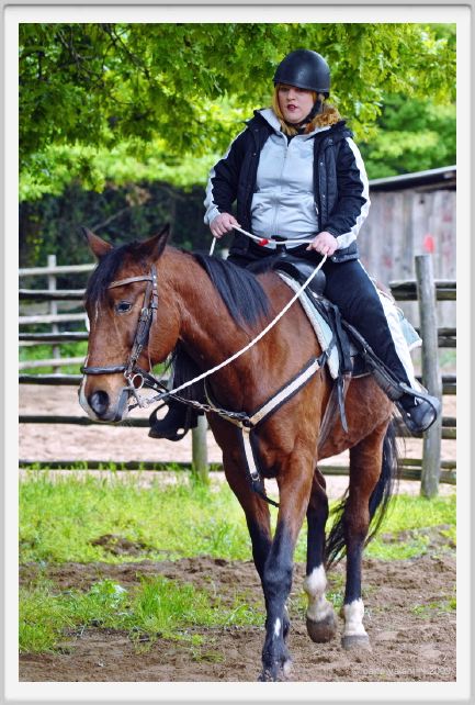 natura_e_cavallo128