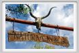 natura_e_cavallo001