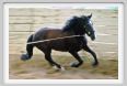natura_e_cavallo142