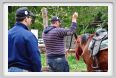 natura_e_cavallo014