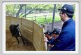 natura_e_cavallo151