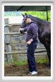 natura_e_cavallo159