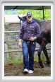 natura_e_cavallo160